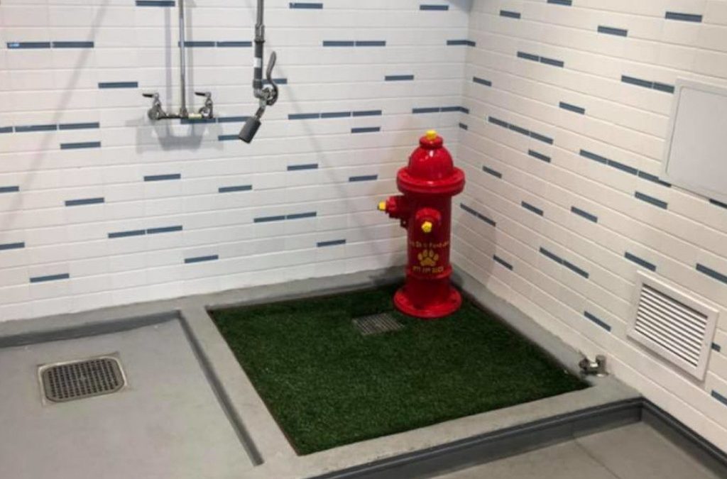 Aeropuerto inaugura baños exclusivos para perros.