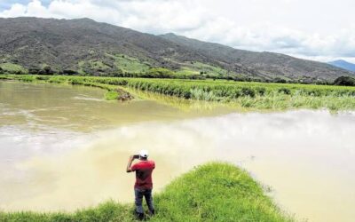 Declarada la calamidad pública en el Valle del Cauca por las afectaciones en la temporada de lluvias.